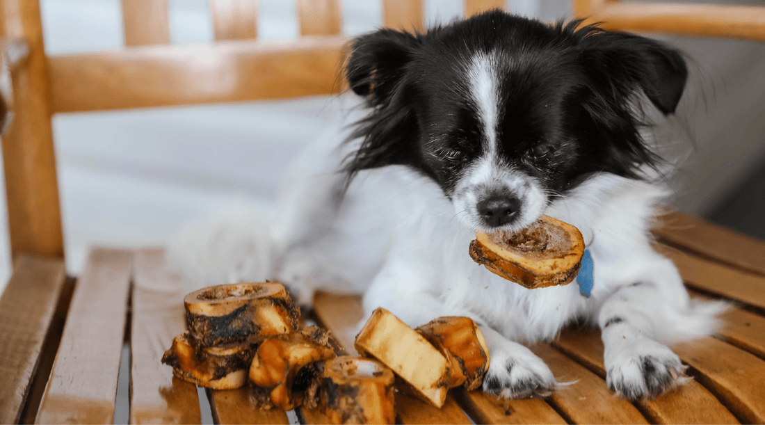 Enhancing Canine Nutrition Through Dog Bones: Not Like Other Treats - K9 Connoisseur