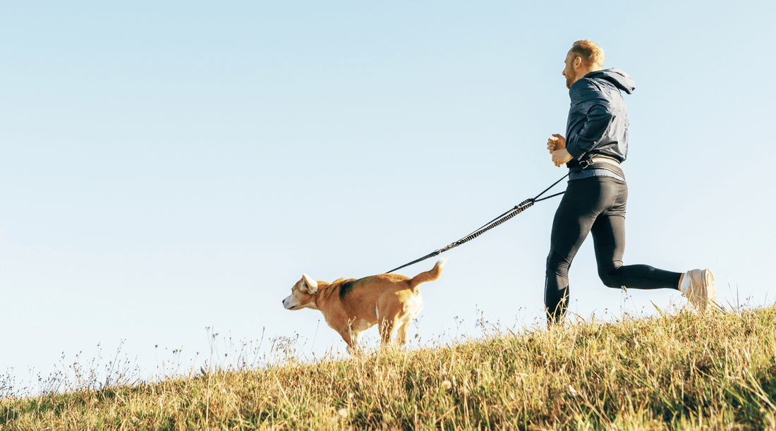 Running With Your Dog (And Why Dogs Make the Best Running Buddies) - K9 Connoisseur