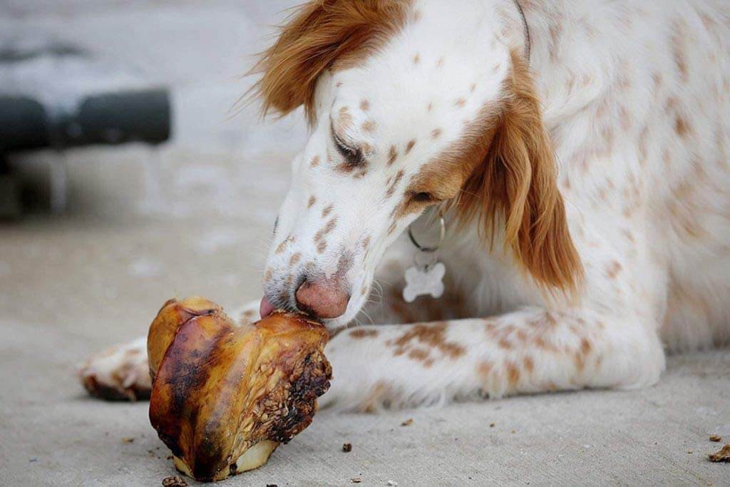 Top 5 Big Dog Bones (All-Natural, Healthy, & Delicious)