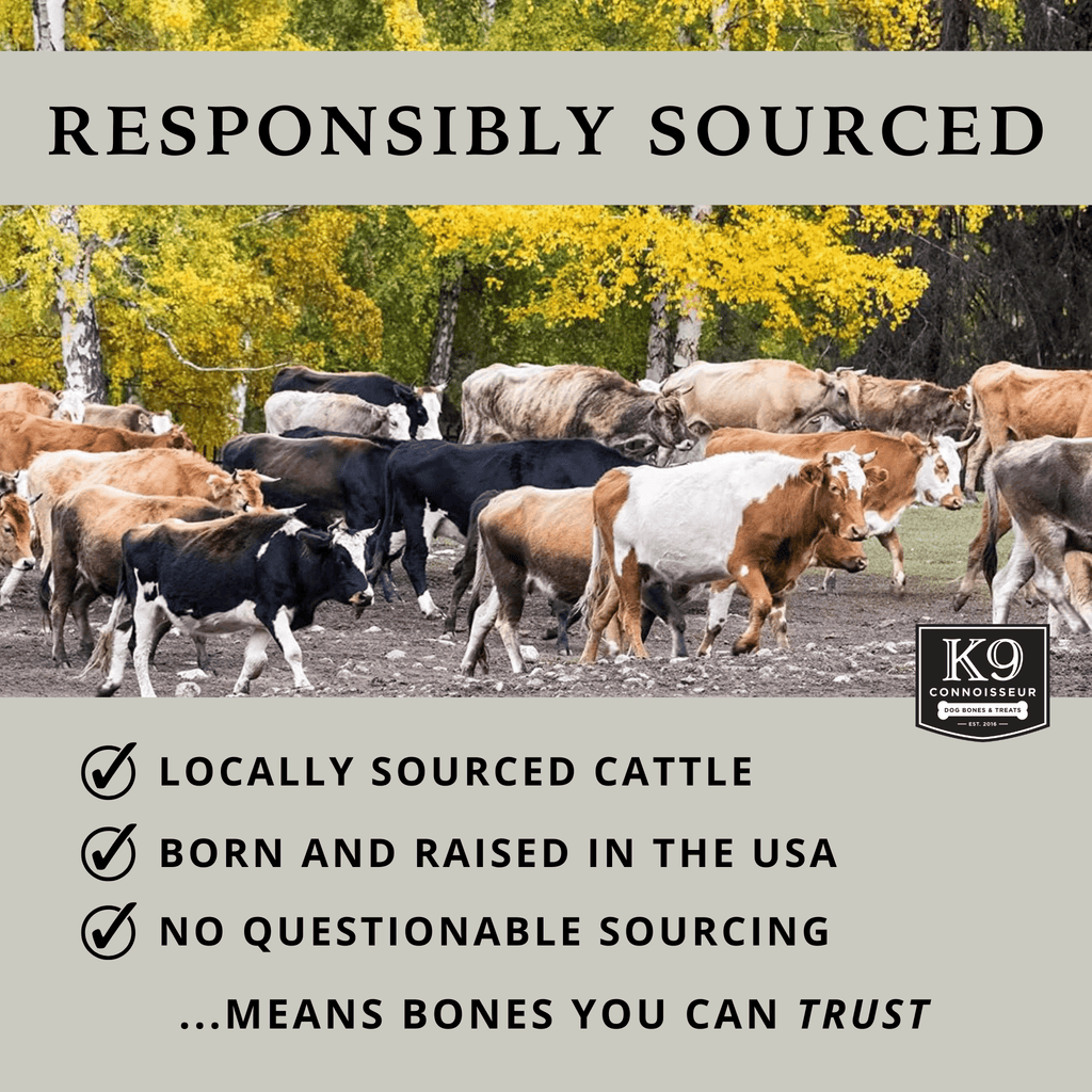 Beef Knee Caps - Meaty Long Lasting Dog Bones Made in USA for Small & Medium Dogs Upto 50 lb - K9 Connoisseur