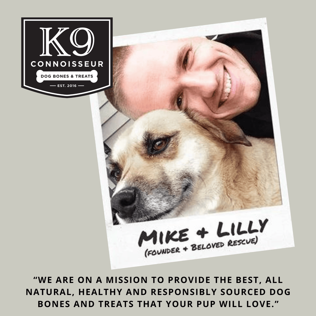 Beef Knee Caps - Meaty Long Lasting Dog Bones Made in USA for Small & Medium Dogs Upto 50 lb - K9 Connoisseur