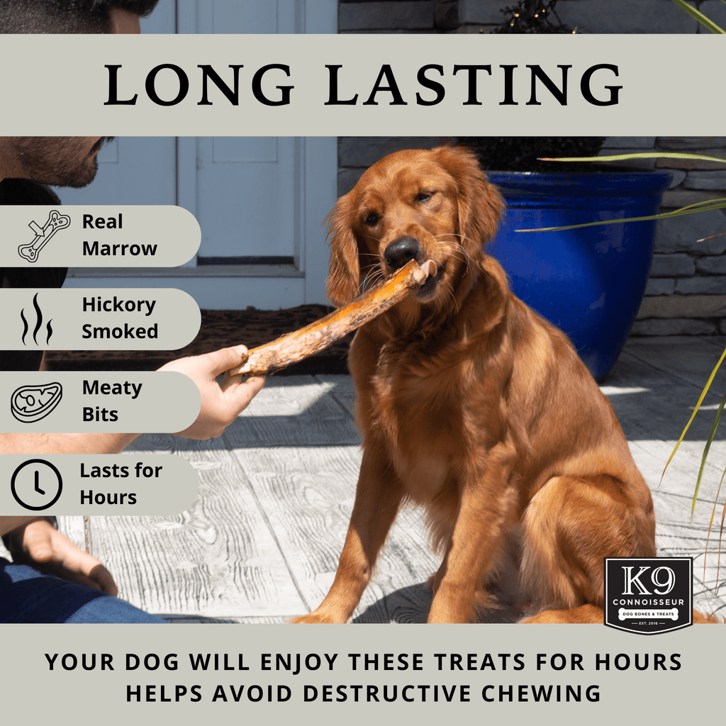 Tail Starters - 8 Inch Meaty Marrow Filled Natural Dog Bones Made in USA for Medium Dogs Upto 50 lb - K9 Connoisseur