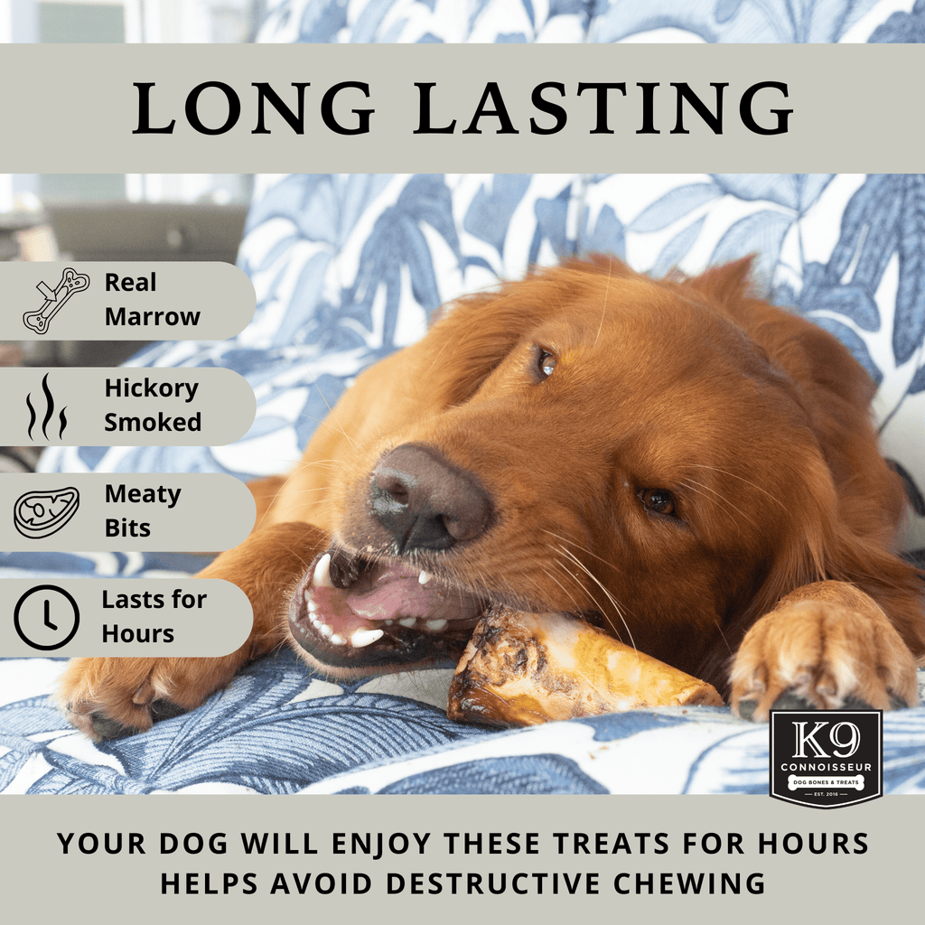 Dynamo Treats - Meaty Marrow Filled Natural Dog Bones Made in USA for Medium & Large Dogs Upto 50 Lb - K9 Connoisseur