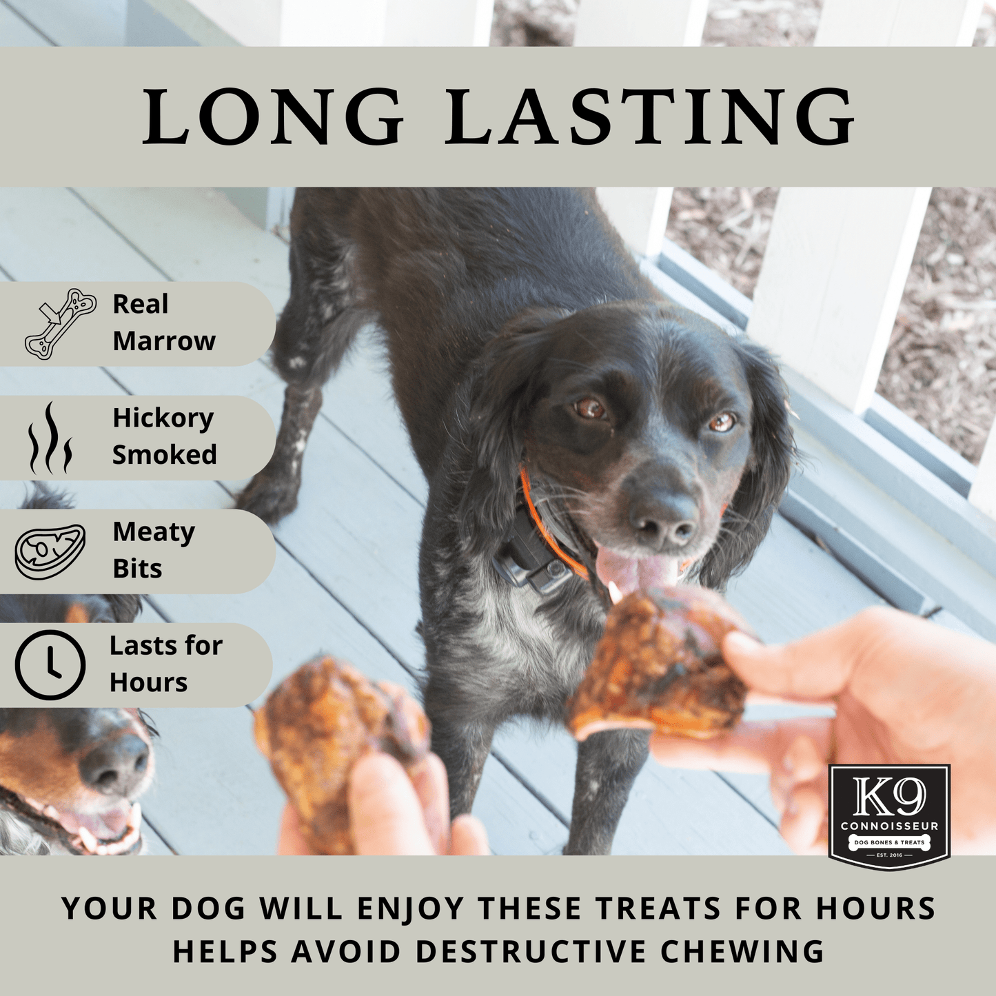 Beef Knee Caps - Meaty Long Lasting Dog Bones Made in USA for Small & Medium Dogs Upto 50 lb - K9 Connoisseur