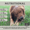 Champs - Meaty Marrow Filled Natural Dog Bones Made in USA for Large Aggressive Chewers Over 50 lb - K9 Connoisseur