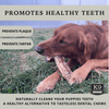 Beef Trachea Dog Chews - Grain Free Natural Dog Treats Made in USA for Small, Medium, Large Aggressive Chewers - K9 Connoisseur