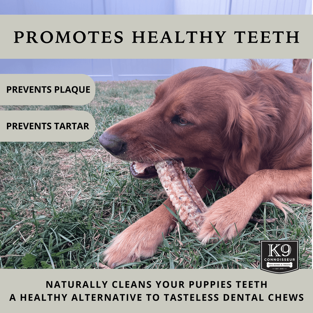 Beef Trachea Dog Chews - Grain Free Natural Dog Treats Made in USA for Small, Medium, Large Aggressive Chewers - K9 Connoisseur