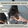 Lung Bites - Grain Free Natural Dog Treats Made in USA for Small, Medium, & Large Aggressive Chewers - K9 Connoisseur
