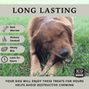 Beggar Bone - Meaty Marrow Filled Natural Dog Bones Made in USA for Medium & Large Dogs Up to 50 Lb - K9 Connoisseur
