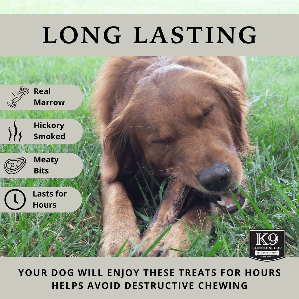 Beggar Bone - Meaty Marrow Filled Natural Dog Bones Made in USA for Medium & Large Dogs Up to 50 Lb - K9 Connoisseur