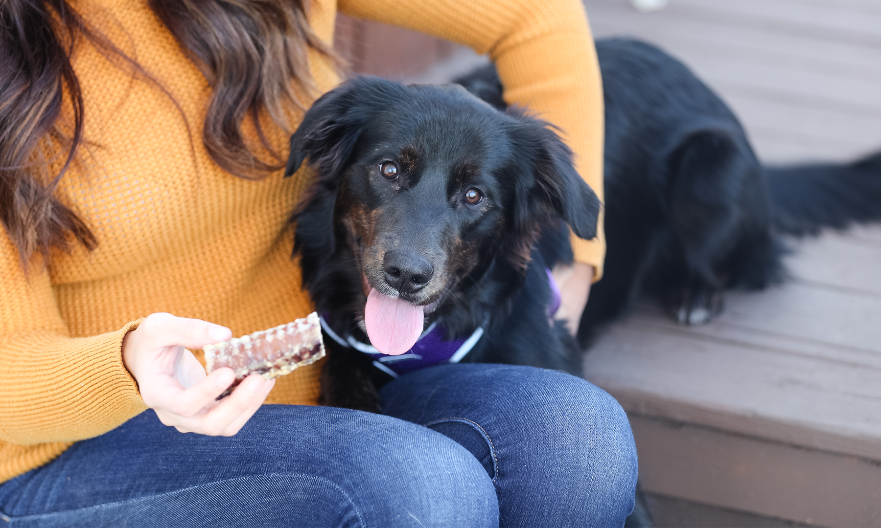 Are Beef Trachea Dog Treats Safe?