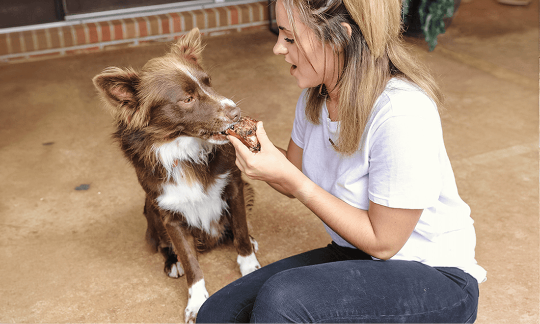 Are Beef Kneecaps Good for Dogs: I Was Shocked to Find This Out - K9 Connoisseur