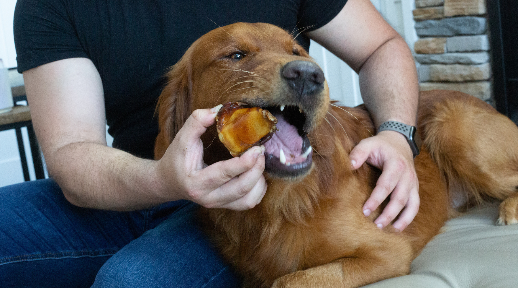 Beef Knee Caps for Dogs: Critics Ask Are They Worth the Chew?