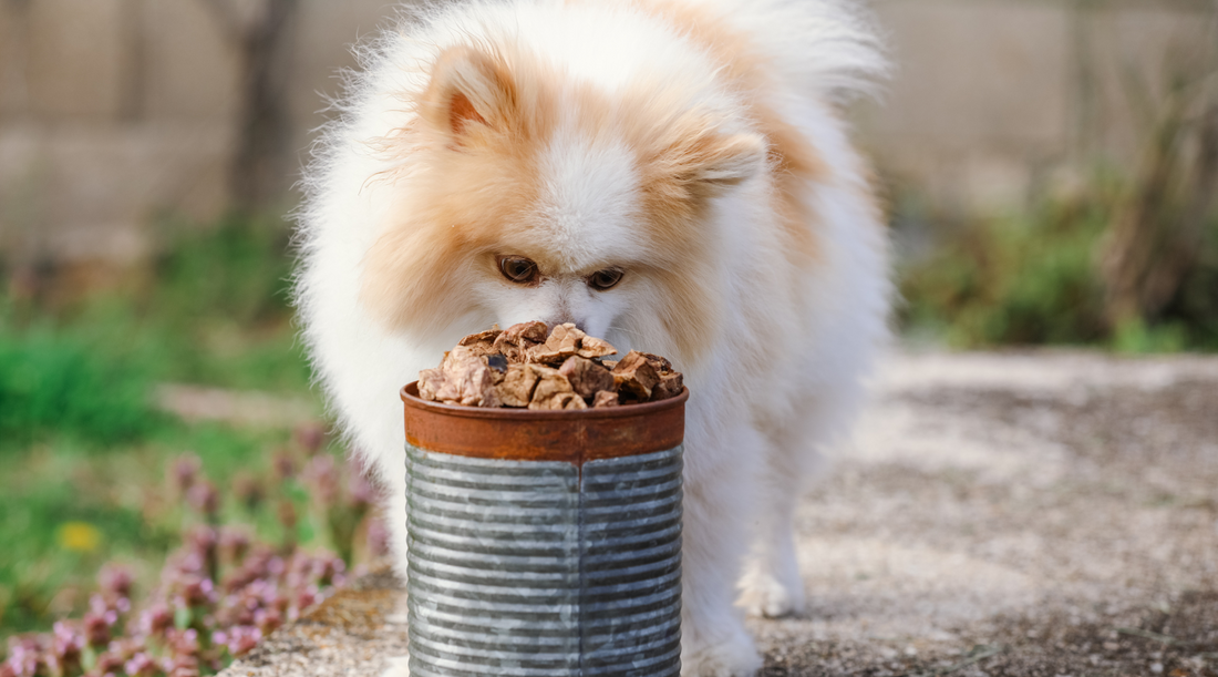 Beef Lung Bite Toppers: Perfect for Picky Dogs!