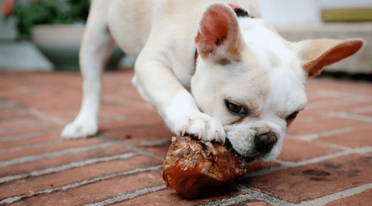 Best Natural Highly Digestible Bones for Dogs: The Dog Treat Bake Off - K9 Connoisseur