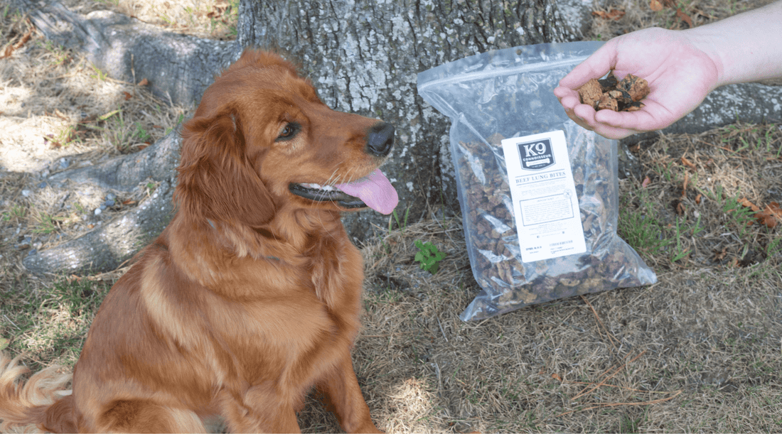 Best Training Treats for Dogs: My Secret to Well-Behaved Pups - K9 Connoisseur