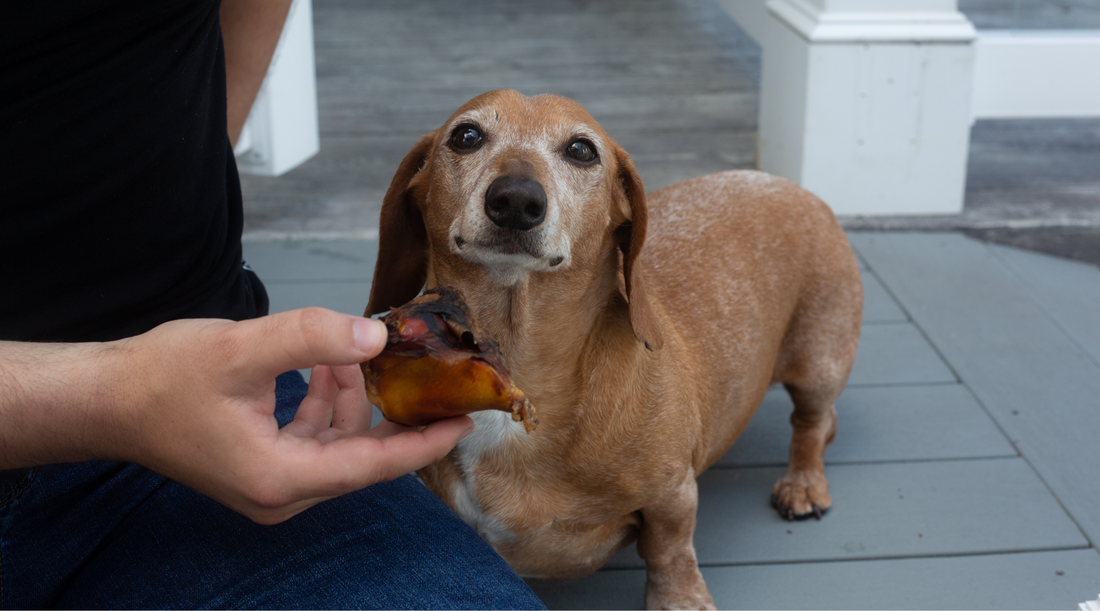 Can Beef Bones Cause Diarrhea in Dogs?