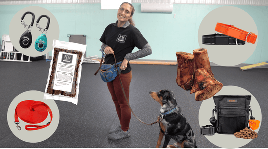 Must-Have Dog Training Supplies for Success - K9 Connoisseur