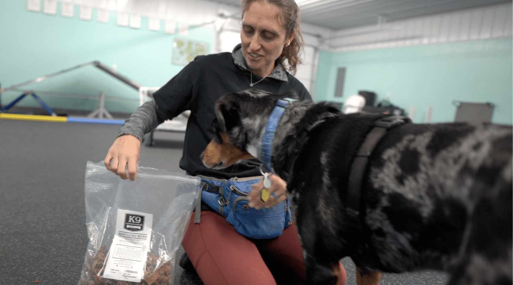 Top 12 Dog Training Tools Every Owner Should Have – K9 Connoisseur