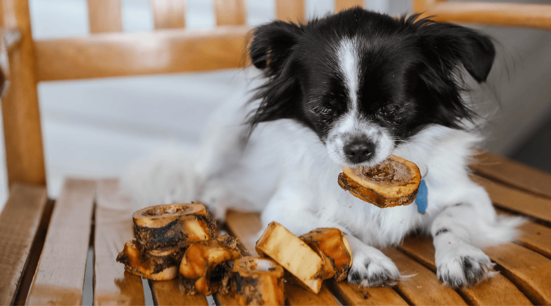 Enhancing Canine Nutrition Through Dog Bones: Not Like Other Treats - K9 Connoisseur