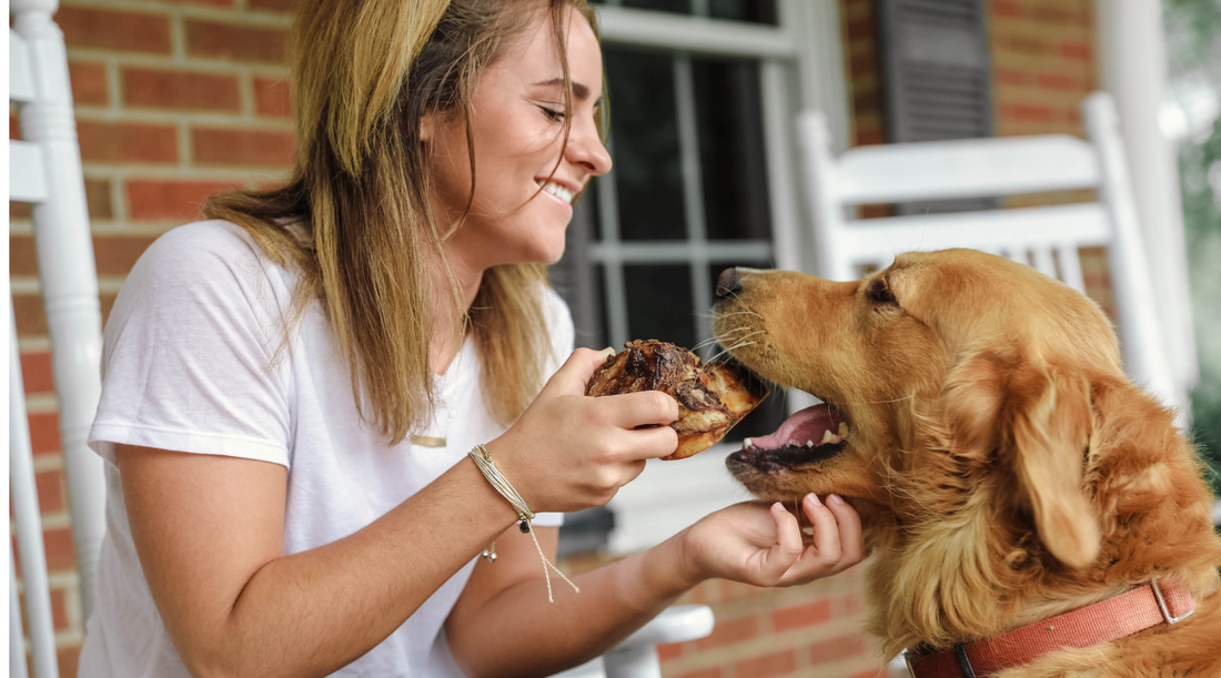 Healthy Bones for Dogs: Here's What to Look For