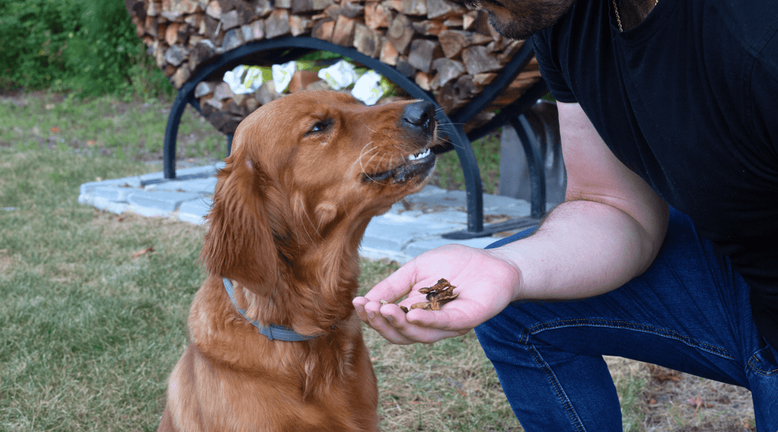 Trim and Train: Your Dog's Go-To for High-Protein, Low-Fat Treats! - K9 Connoisseur