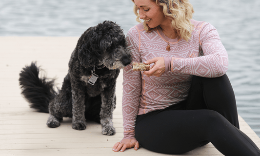 How to Spot Early Signs of Arthritis in Dogs: Restoring Joint Mobility - K9 Connoisseur