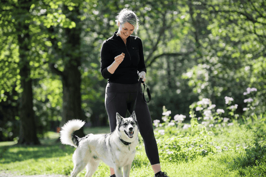 Reactive Dog Training: Turning Chaos Into Calm - K9 Connoisseur