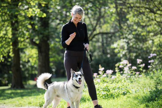 Reactive Dog Training: Turning Chaos Into Calm