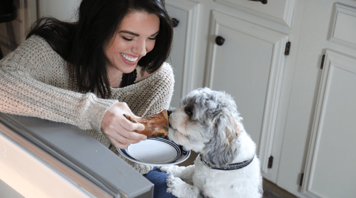 The Benefits of Digestive Enzymes for Dogs...with Fun Ideas - K9 Connoisseur