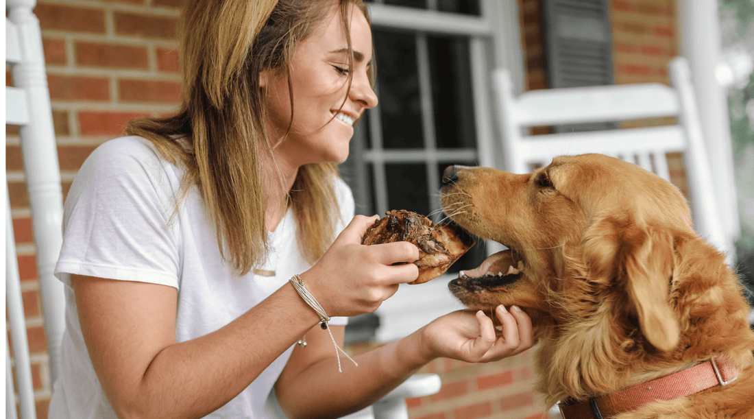 Where Can I Get Dog Bones Made in the USA? - K9 Connoisseur