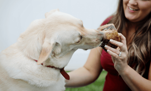 Why The Best Dog Chew Bones are Grass Fed: With a Catch - K9 Connoisseur