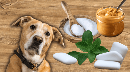 Xylitol and Dogs: A Sugar-free Snack Sent Them to Doggy ER - K9 Connoisseur