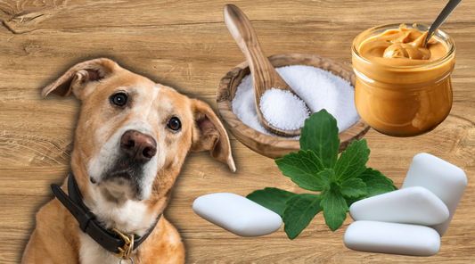 Xylitol and Dogs: A Sugar-free Snack Sent Them to Doggy ER