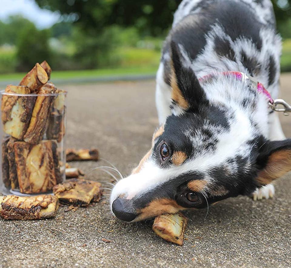 7 Best All-Natural Dog Bones: Healthy & Delicious - K9 Connoisseur