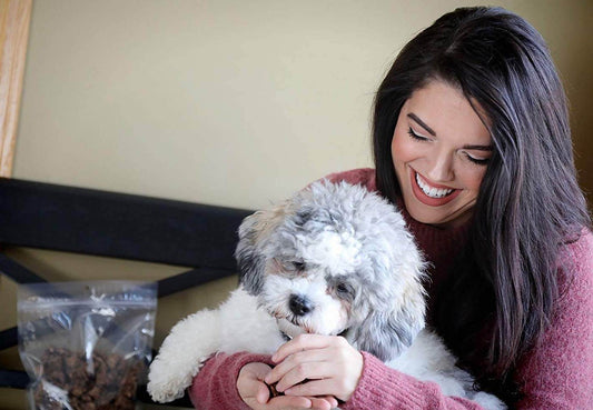 girl giving dog beef lung treats