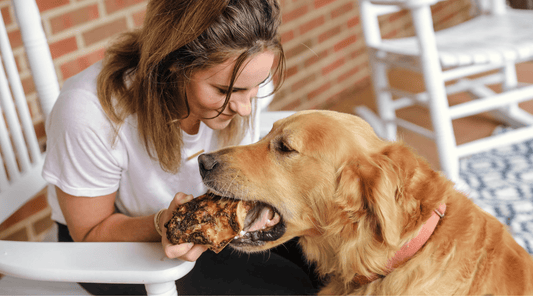 Big Dog Chews: How Bruno Became a Neighborhood Sensation - K9 Connoisseur