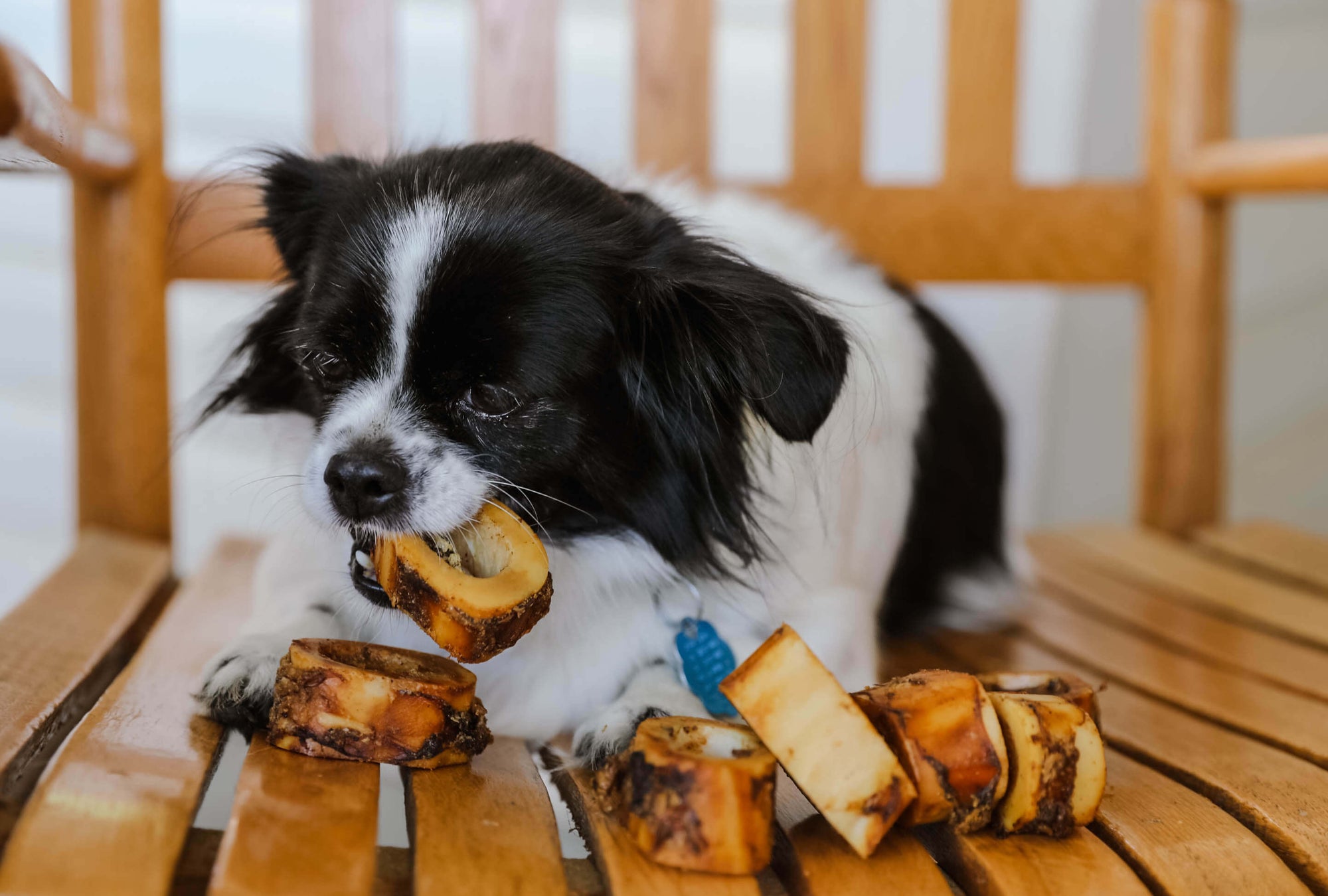 K9 Connoisseur Marrow Bones for Puppies
