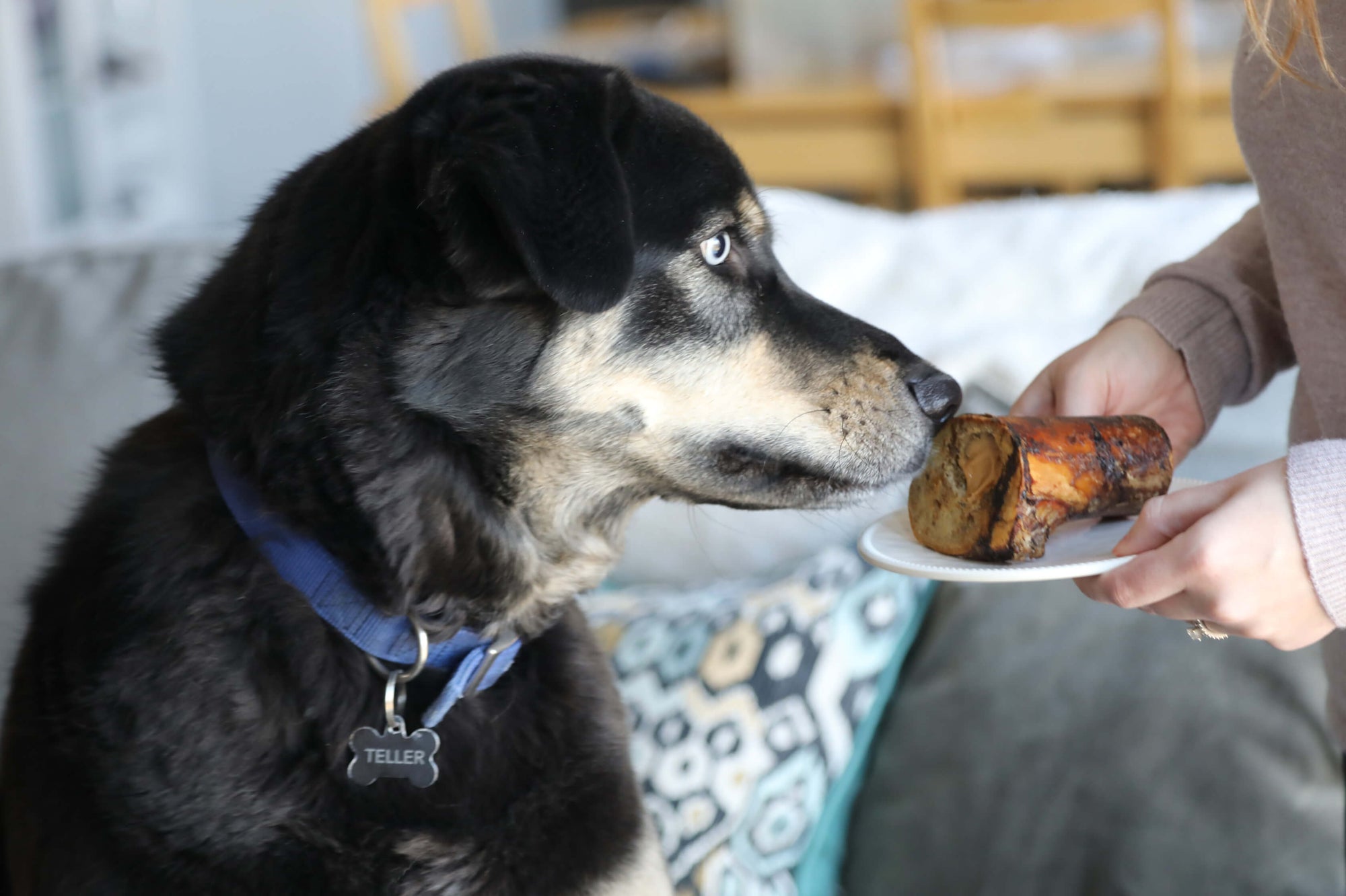 dog with peanut butter dog bones