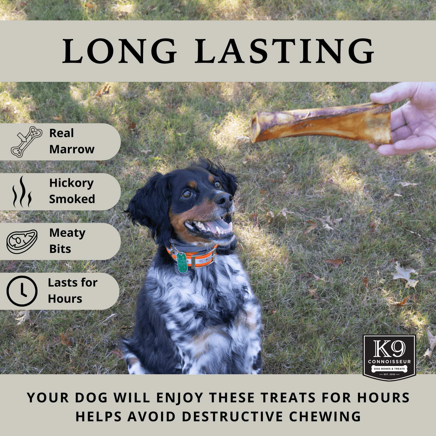 Champs - Meaty Marrow Filled Natural Dog Bones Made in USA for Large Aggressive Chewers Over 50 lb - K9 Connoisseur