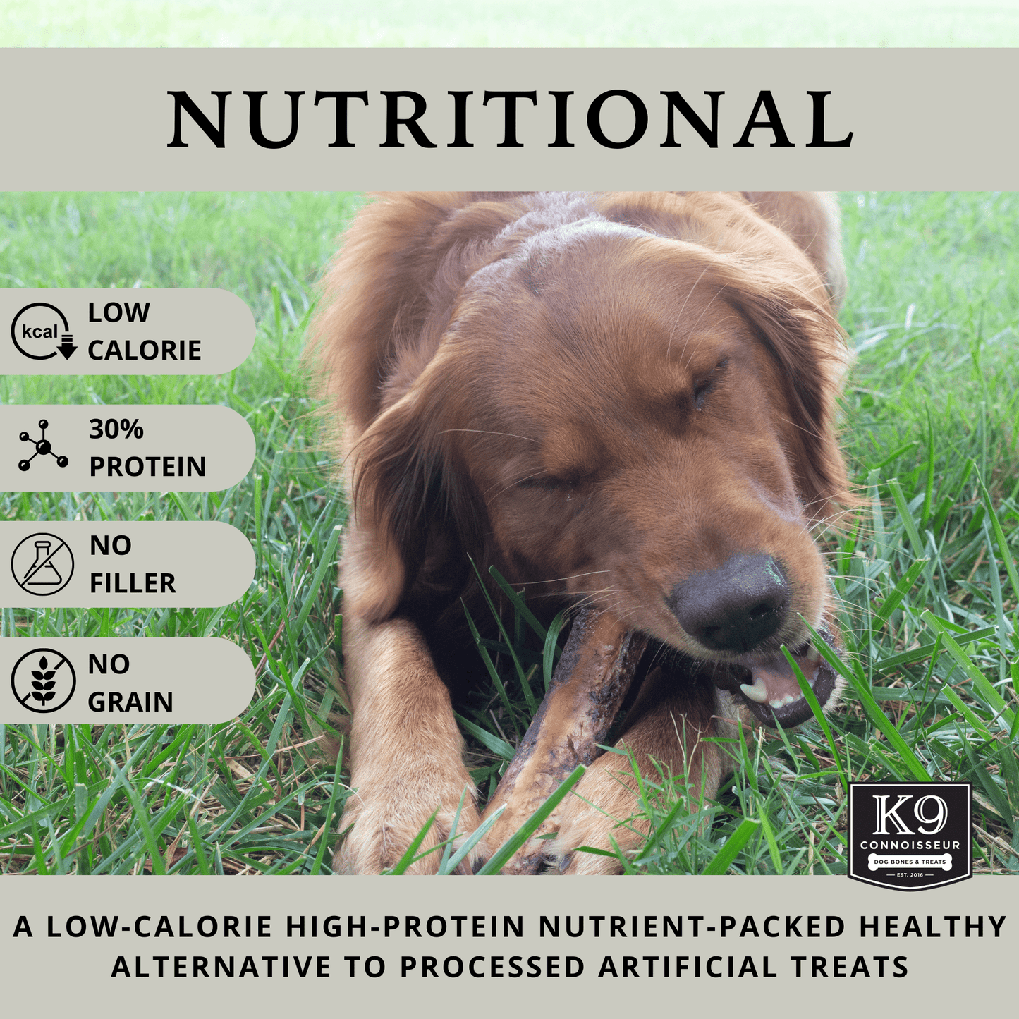 Champs - Meaty Marrow Filled Natural Dog Bones Made in USA for Large Aggressive Chewers Over 50 lb - K9 Connoisseur