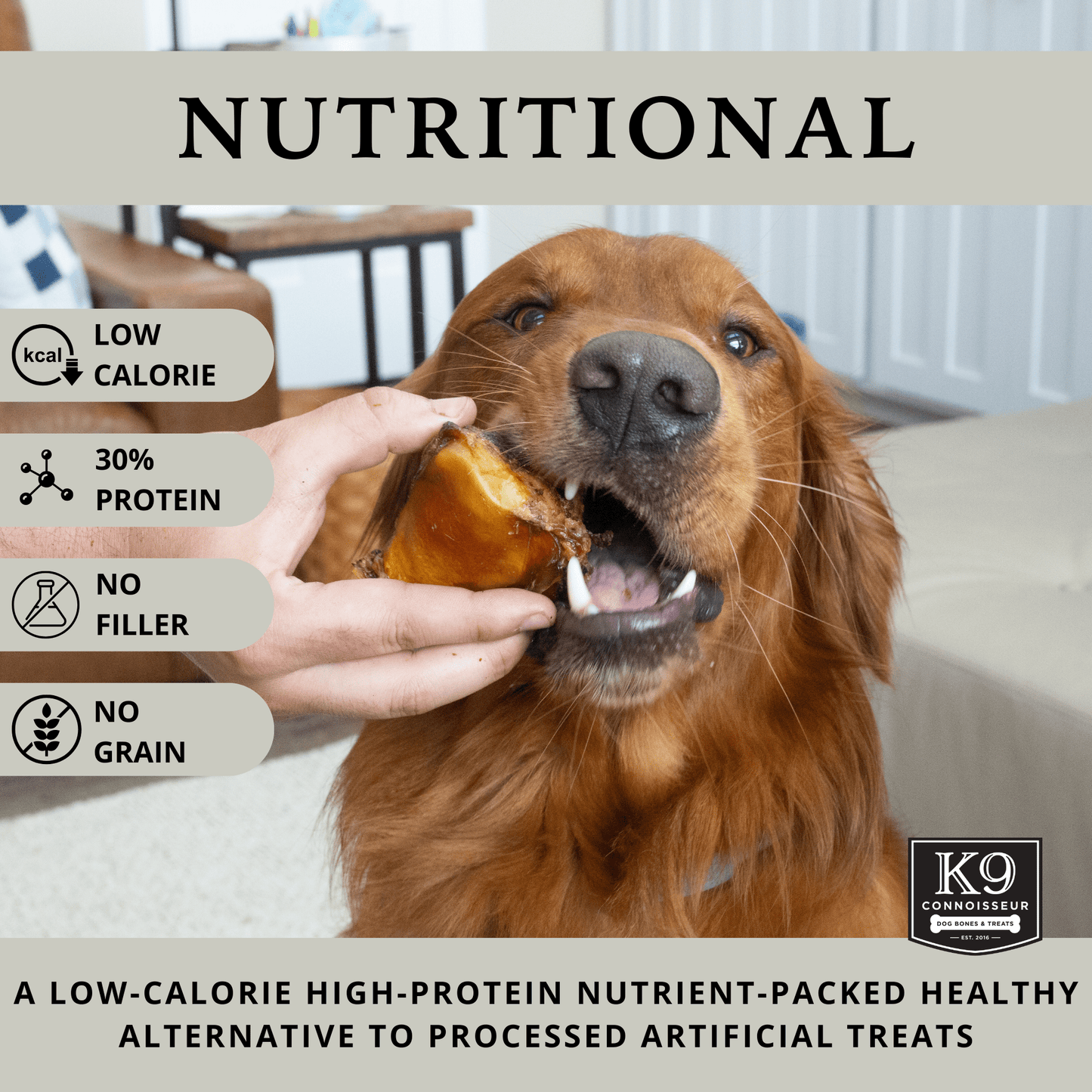 Beef Knee Caps - Meaty Long Lasting Dog Bones Made in USA for Small & Medium Dogs Upto 50 lb - K9 Connoisseur