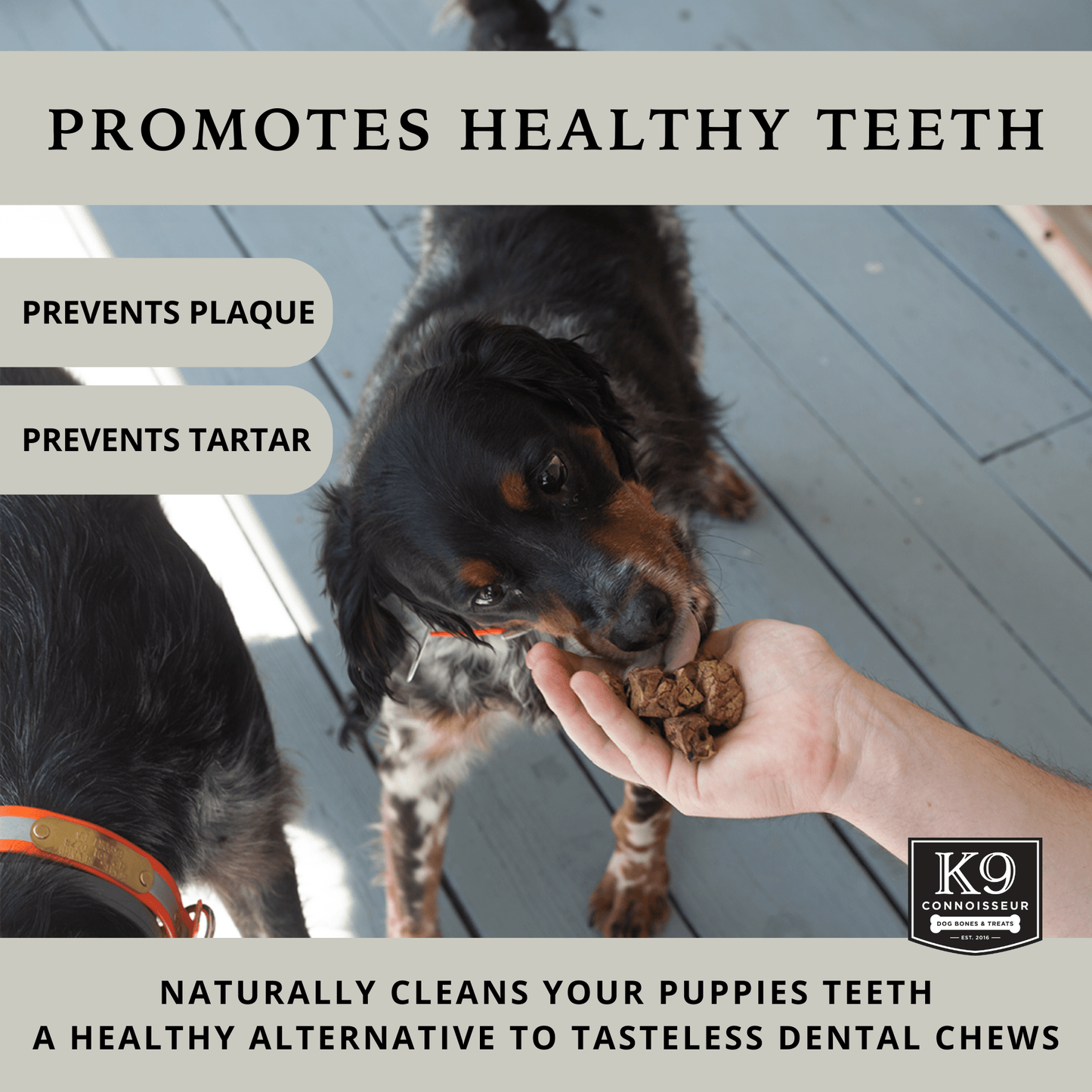 Lung Bites - Grain Free Natural Dog Treats Made in USA for Small, Medium, & Large Aggressive Chewers - K9 Connoisseur
